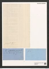 Grammatophora perpusilla Grun. (de-Toni-Nr.: Genus 93, Species 3055) Zeichnungen Sammlung Grunow (NHMW-BOT-W0374770)